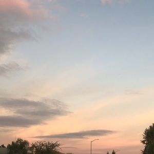 Meet your Posher, Rosaura